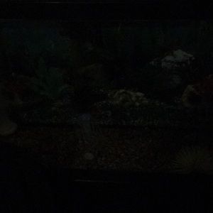 Meet your Posher, Terry